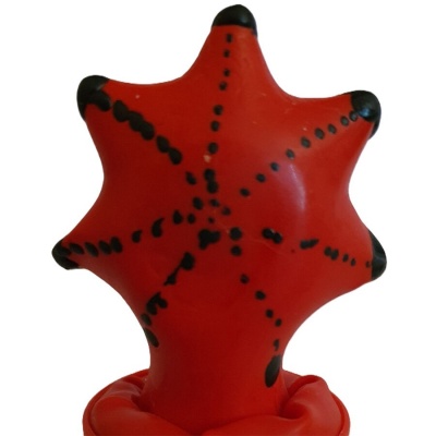 Condomerie Handpainted Starfish