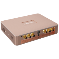 P1 | Lecteur Digital Haut de Gamme | aptX™ BT 5.0 | Télécommande Sans Fil Incluse