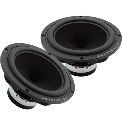 Foto von Fantasia Woofer | 16,5cm / 8