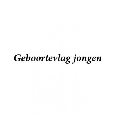Geboortevlag jongen Geboortevlag jongen