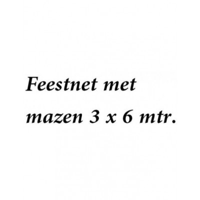Feestnet met mazen 6 x 3 m Feestnet met mazen 6 x 3 m