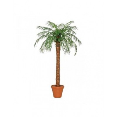 Palmbomen 220 cm Palmbomen 220 cm