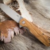 Afbeelding van Black Eagle Uluru Olive Wood