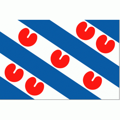 Foto van Friesland vlag