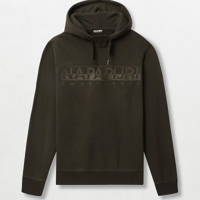 Foto van Napapijri Hoody Berber groen