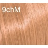 Afbeelding van GLOSS - 9.75 VERY.LIGHT.BLONDE.CHOCOLATE.MAHOGANY