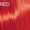 Afbeelding van CODE RED