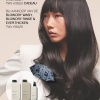 Afbeelding van Insert BLOW.DRY A4