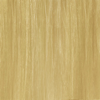 COLOR.ME.GLOSS 10.03 PLATINUM NATURAL GOLD