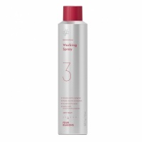 Four Reasons Professional Working Spray 300ml