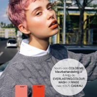 Color.me everlasting INSERT A4