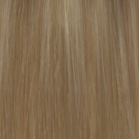 COLOR.ME 10.00 PLATINUM INTENSE