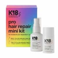 Pro Hair Repair Mini Kit 