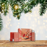 HOLIDAY 2025 - INFINITE COLOUR