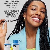 K18 DAMAGE SHIELD PROMO SC3 INSERT A4