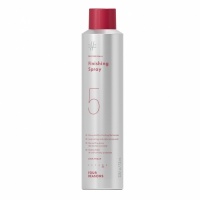Four Reasons Professional Finishing Spray 300ml