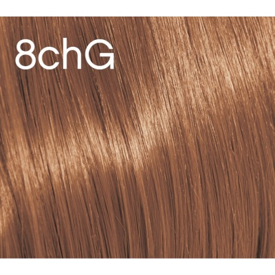 Foto van GLOSS - 8.73 LIGHT.BLONDE.CHOCOLATE.GOLD
