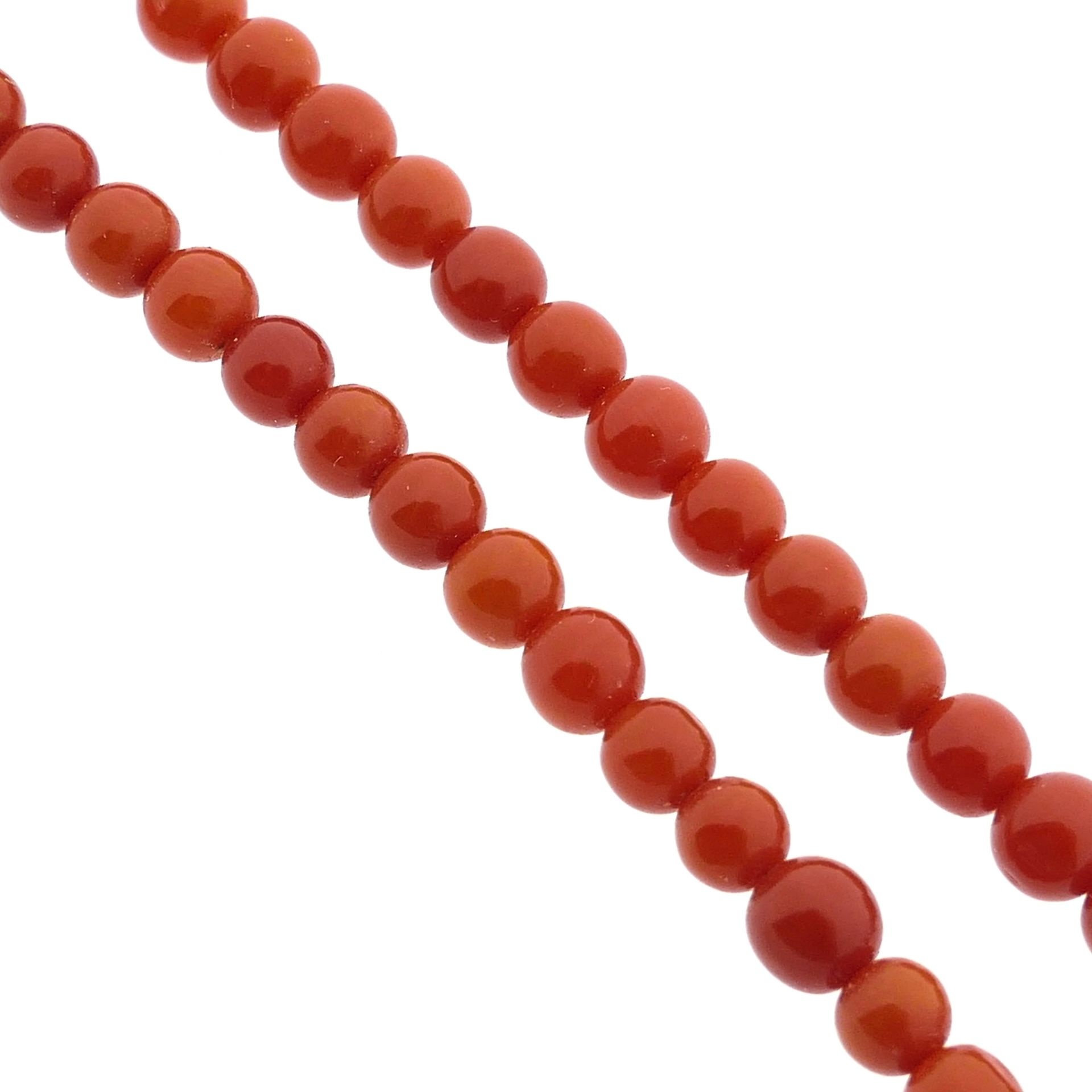 https://afosto-cdn-01.afosto.com/te24c/product/1201100580-image.jpg