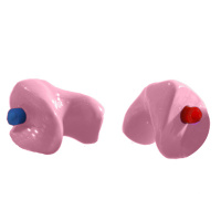 Festival Oordoppen op Maat - Roze