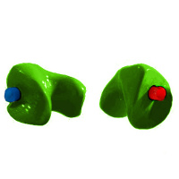 Festival Oordoppen op Maat - Groen