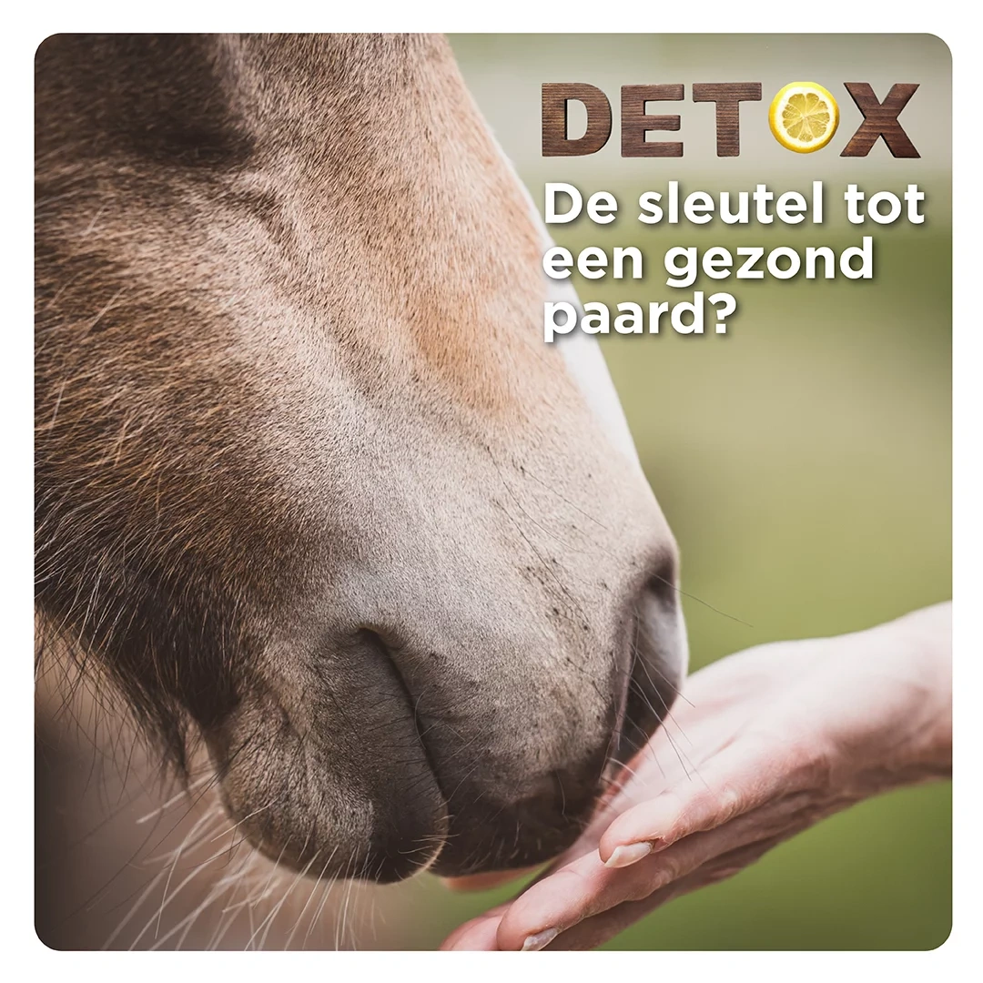 Echt