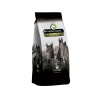 Oerbrok Friesian Impact Oerbrok Friesian Impact