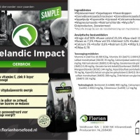 Foto 4 van Icelandic Impact