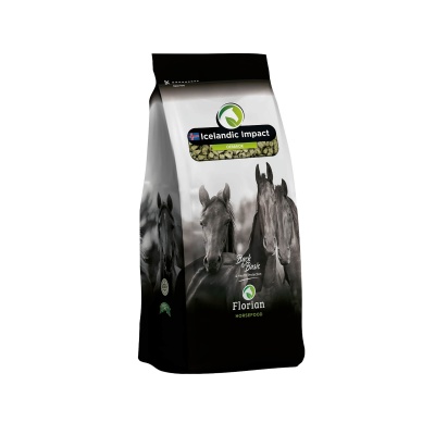 Oerbrok Icelandic Impact