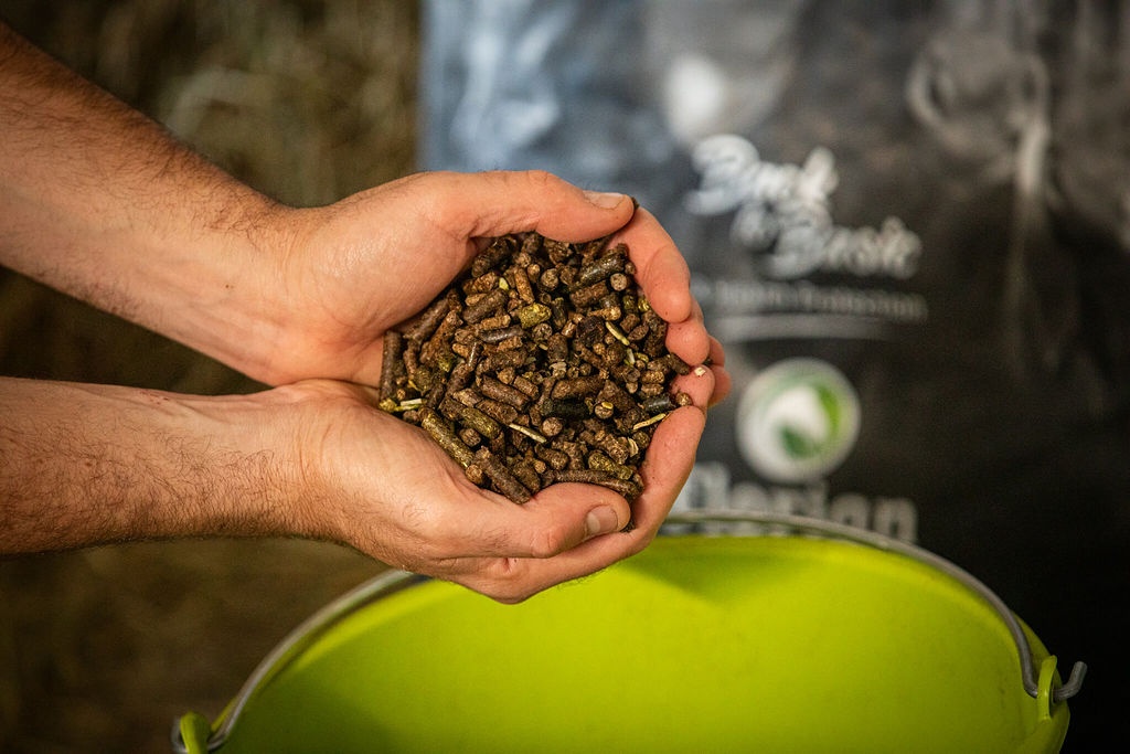 Back to Basic — pellets