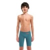 Afbeelding van Arena B Powerskin Impulso LE Jammer Biscay- Bay-Cherry