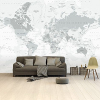 Wereldkaart Landen Grijstint - Vinylbehang 265x350