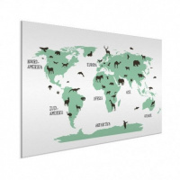 Wereldkaart Dieren Per Continent Groen - Wit aluminium 80x60