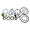 Afbeelding van Lower Gearcase Seal Kit 