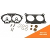 Afbeelding van Carburetor Kit