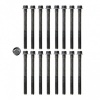 Afbeelding van Kopboutenset Mopar 3,3 + 3,8 V6 82-11