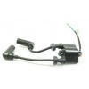 Afbeelding van Ignition coil Parsun F9.8 F8-05000500 Tohatsu