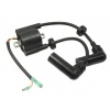 Afbeelding van Ignition coil Yamaha F9.9 T9.9 F15 66M-85570-