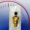Afbeelding van Temperatuurzender 0-250F 1/2