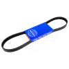 Afbeelding van Drive belt alternator D1, D2
