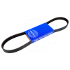 Afbeelding van Drive belt alternator D1