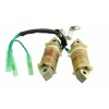 Afbeelding van Charging coil Parsun F15 F15-07000400 Yamaha 