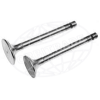 Afbeelding van Exhaust valve B20, B30