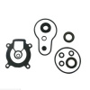 Afbeelding van Lower Unit Seal Kit