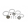 Afbeelding van Lower Unit Seal Kit