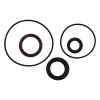 Afbeelding van Crankshaft Seal Kit