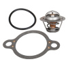 Afbeelding van Thermostat Kit - Raw Water Cooled