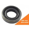 Afbeelding van Seal