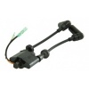 Afbeelding van Ignition coil Nissan Tohatsu NSF9.9, NFS15, N