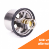 Afbeelding van Thermostat