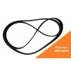 Afbeelding van Serpentine Belt